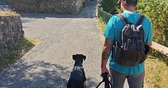 thomas dog sitter à ROMANS SUR ISERE 26100_4