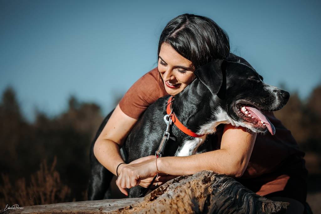 marie pet sitter à MONS 31280_0