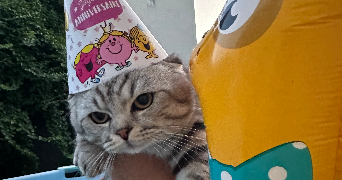 raisa pet sitter à SEVRAN 93270_7