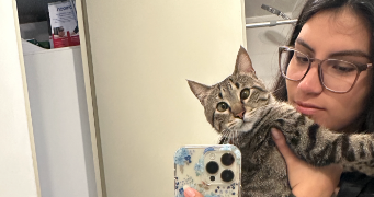 miura pet sitter à ST JACQUES DE LA LANDE 35136_3