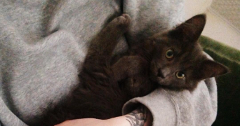 juliette pet sitter à PAU 64000_1