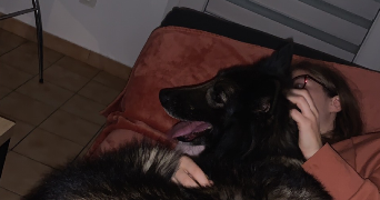 nicolas pet sitter à MAIZIERES LES METZ 57280_2