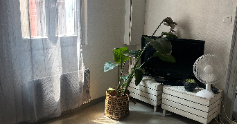 mathilde pet sitter à TOULOUSE 31500_3