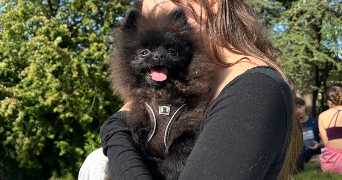 ilona pet sitter à BAGNOLET 93170_0
