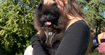 ilona pet sitter à BAGNOLET 93170
