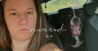 louanne pet sitter à ECOCHE 42670_1