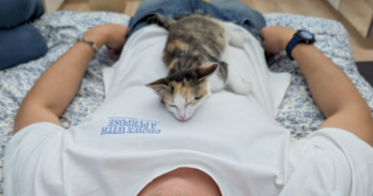 tristan cat sitter à MONTIGNY LE BRETONNEUX 78180_2