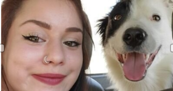 thaïs pet sitter à Vetraz-Monthoux 74100_2