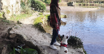 sandy pet sitter à BLANQUEFORT 33290_6