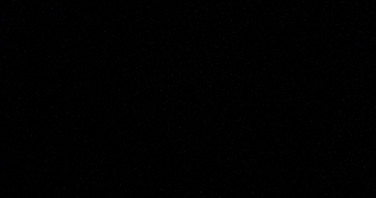 elise pet sitter à MARSEILLE 07 13007_0