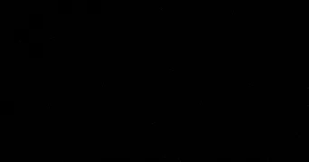 elise pet sitter à MARSEILLE 07 13007