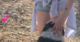 valentine pet sitter à MONTPELLIER 34090_3