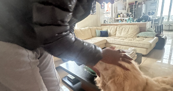 emanuèle pet sitter à SURESNES 92150_1