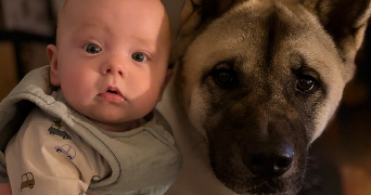 lea pet sitter à KINGERSHEIM 68260_5
