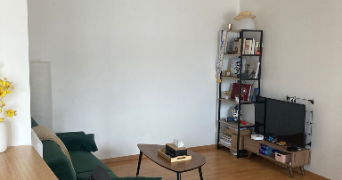 corentin et maya pet sitter à LILLE 59800_4