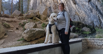 megane pet sitter à AVORD 18520_1