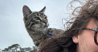 nolwenn pet sitter à VANNES 56000_5