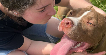 ambre pet sitter à MONTREUIL 93100_0