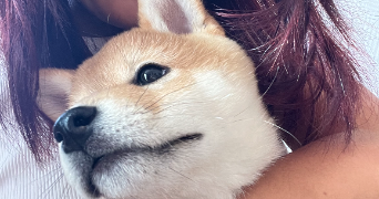 zoé pet sitter à NANTERRE 92000_2