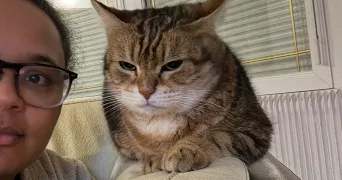 delphine pet sitter à ST CALAIS 72120