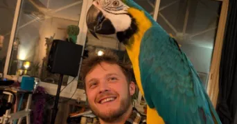 benjamin pet sitter à BORDEAUX 33000