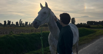 emmy pet sitter à RENNES 35000_5
