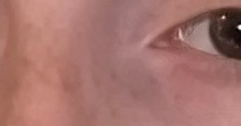 justine pet sitter à CHANTILLY 60500_1