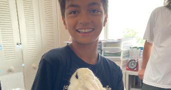 cyrille pet sitter à BAGNOLET 93170_1