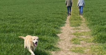 rose pet sitter à PARIS 07 75007_2