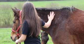 séverine pet sitter à COURCELLES CHAUSSY 57530_1