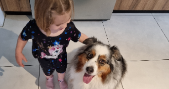 sandy pet sitter à COUBON 43700_4