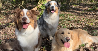 maryne pet sitter à VILLECRESNES 94440_3