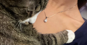 alina pet sitter à MONTPELLIER 34090_2