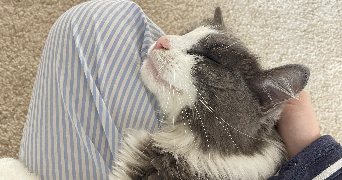 léa pet sitter à MONTROUGE 92120_2