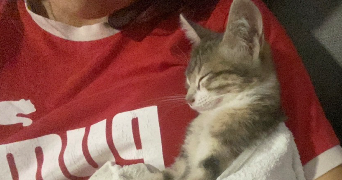 nefissa cat sitter à TOULOUSE 31000_2