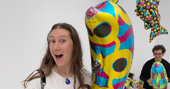 maroush pet sitter à NIMES 30900_0