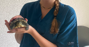 laura pet sitter à PAGNY LES GOIN 57420_1