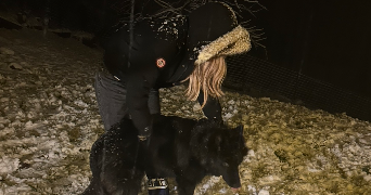 hana pet sitter à ST MARTIN D HERES 38400_3