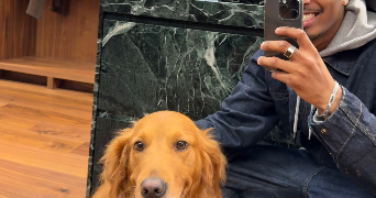 samuel pet sitter à SAVIGNY SUR ORGE 91600_0