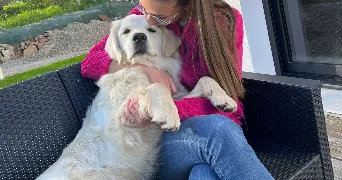 flo pet sitter à LANDUDEC 29710