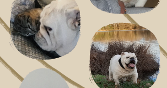 murielle pet sitter à BOURG EN BRESSE 01000_1