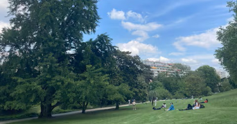 ruimin pet sitter à PARIS 13 75013_5
