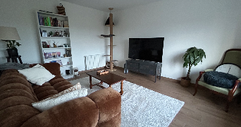 elvina cat sitter à LE PARC 50870_4