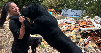 melyne pet sitter à BOURGES 18000_3