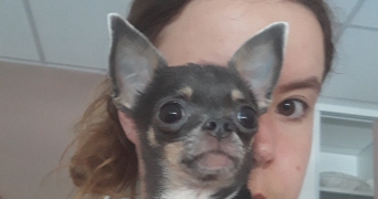 romane pet sitter à CHARTRES DE BRETAGNE 35131_7