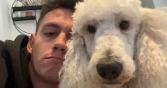 flavien dog sitter à CLAMART 92140