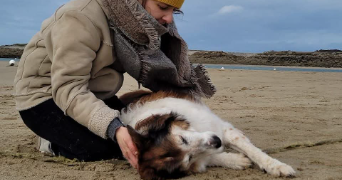 caroline pet sitter à LANNION 22300_0