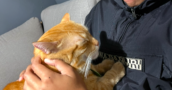 oscar pet sitter à PARIS 13 75013_3