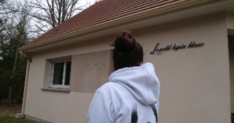 mégane pet sitter à LA FERTE ST CYR 41220_3