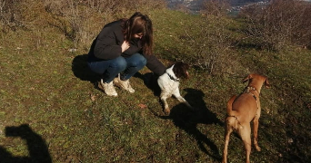 marie pet sitter à LILLE 59000_1